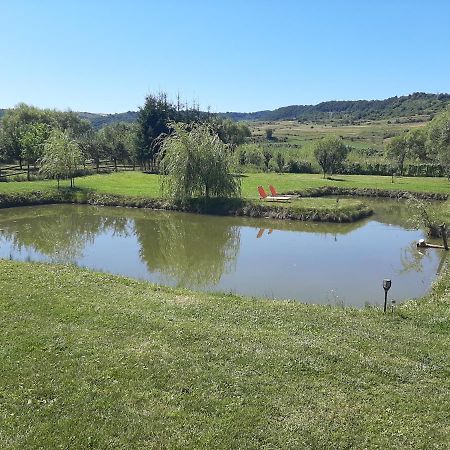 Kacso Apartma Ocna de Sus Buitenkant foto