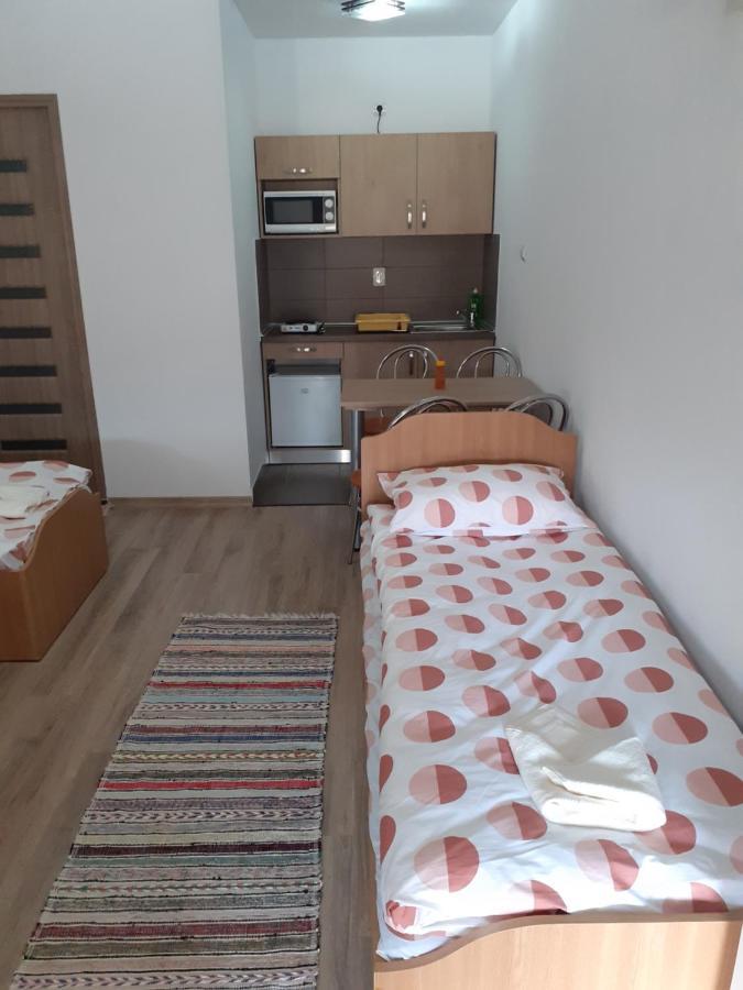 Kacso Apartma Ocna de Sus Buitenkant foto