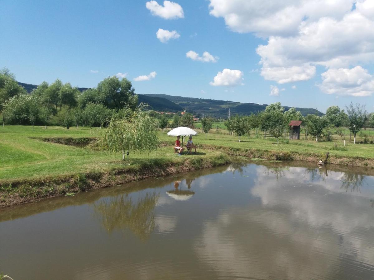 Kacso Apartma Ocna de Sus Buitenkant foto
