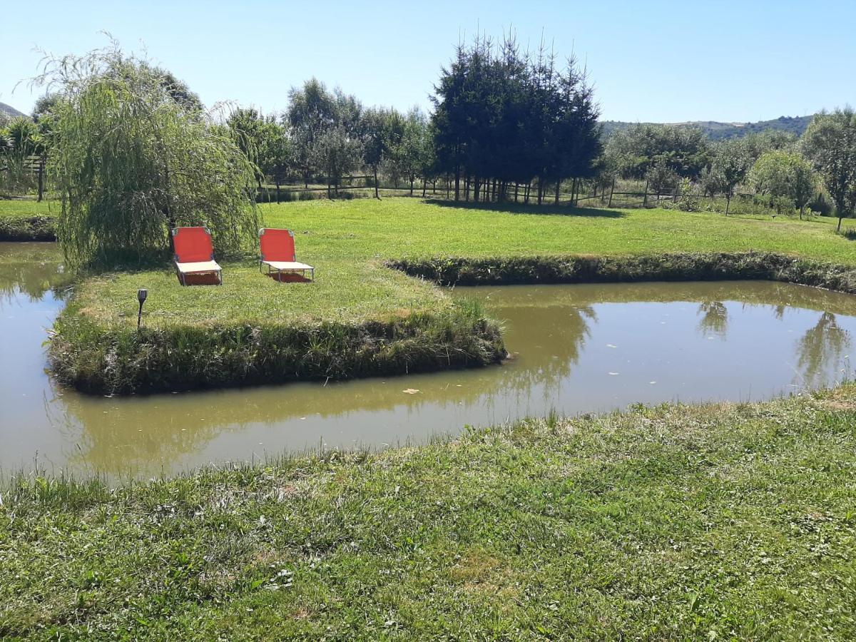 Kacso Apartma Ocna de Sus Buitenkant foto