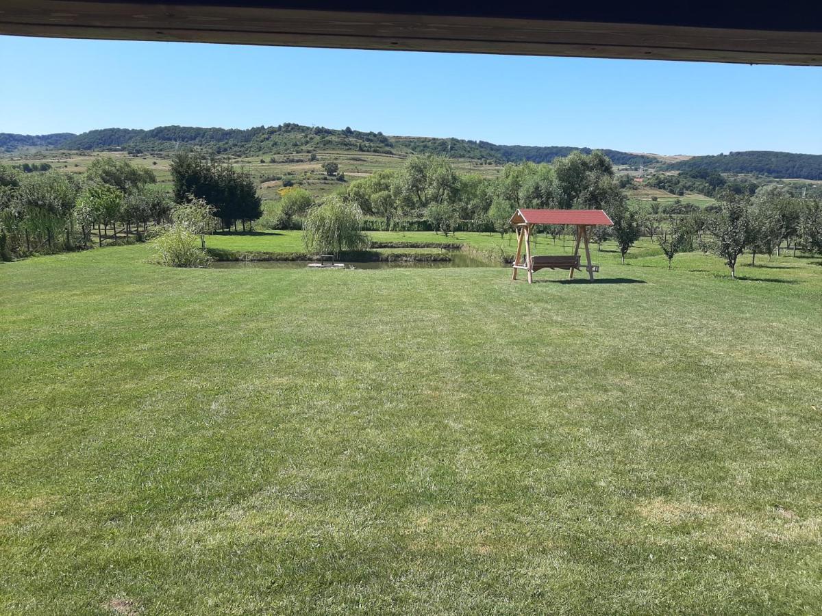 Kacso Apartma Ocna de Sus Buitenkant foto