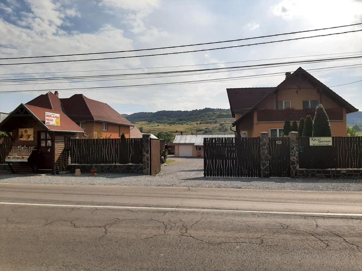 Kacso Apartma Ocna de Sus Buitenkant foto